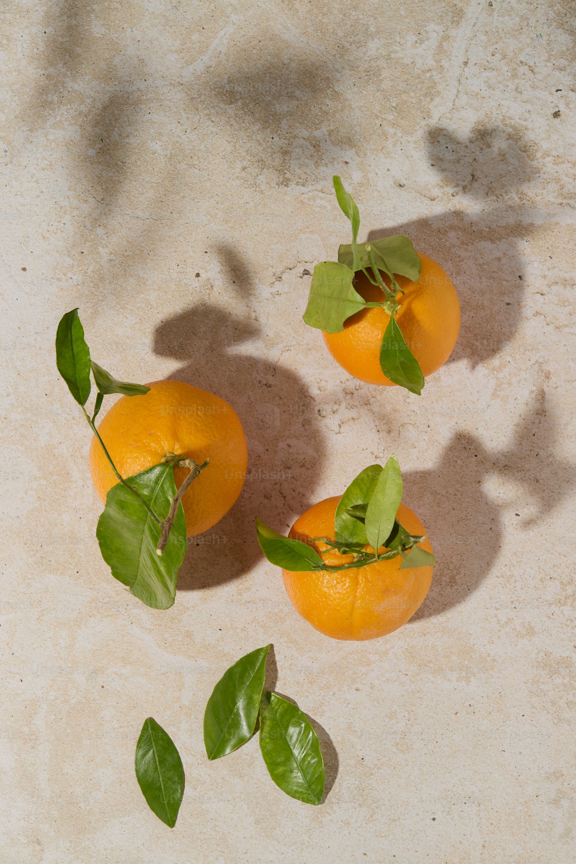 Sunlit oranges on stone — placeholder hero image